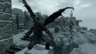 Argonian the elder scrolls v: skyrim argonain wallpaper