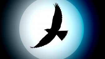 Birds silhouette artwork wallpaper