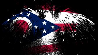 Eagles hawk flags usa ohio state wallpaper