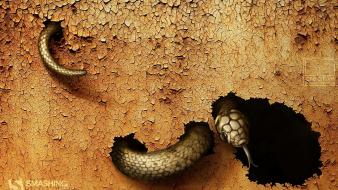 Earth snakes digital art reptiles july land cracked wallpaper