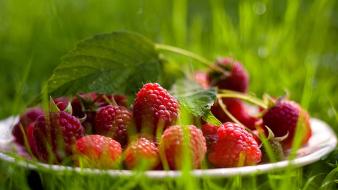 Fruits raspberries wallpaper