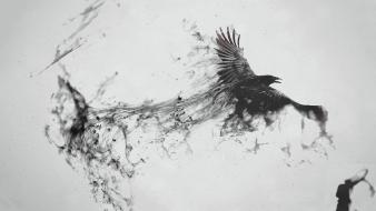 Wings birds smoke grayscale artwork simple background messenger wallpaper