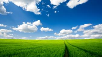 Clouds green field skyscapes wallpaper