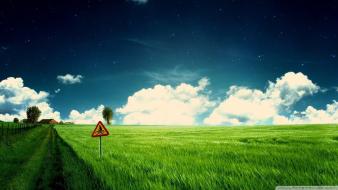 Green nature pathway wallpaper