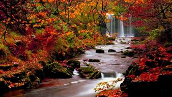 Landscapes nature autumn falls streams riverside rivers wallpaper