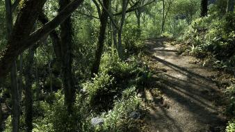 Landscapes trees dirt wallpaper