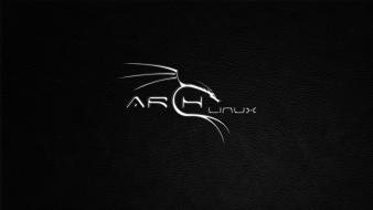 Linux arch gnu/linux wallpaper