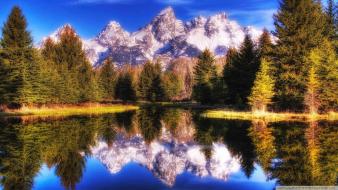 Nature dreamscape wallpaper