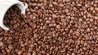 Coffee beans wallpaper
