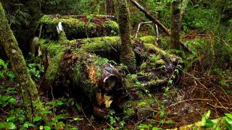 Forest cars old car wallpaper