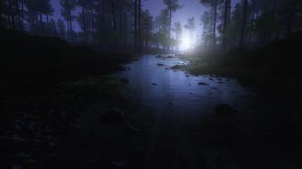 Landscapes nature forest digital art vue wallpaper