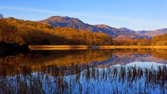 Landscapes nature forest lakes wallpaper