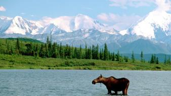 Landscapes nature national park wallpaper