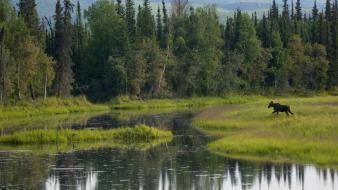 Landscapes nature running lakes wallpaper