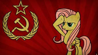 My little fluttershy pony: friendship is magic wallpaper