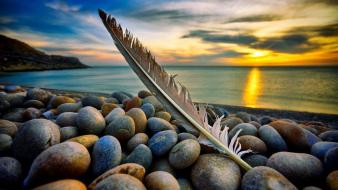 Nature wallpaper