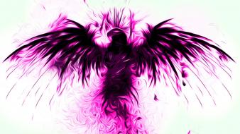 Purple eagles hawk white background wallpaper
