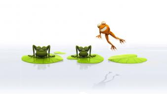 Animals frogs different wallpaper
