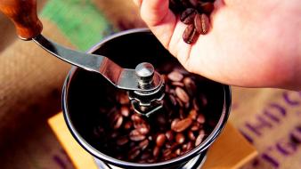 Coffee food brown beans drinking and milk wallpaper
