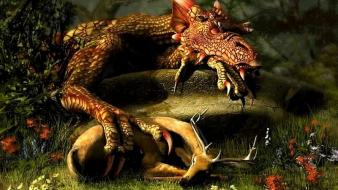 Dragons wallpaper