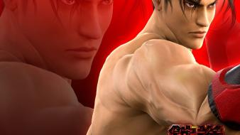 Fighting 69 tekken 6 5 game namco bandai wallpaper