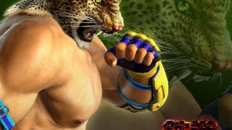Fighting tekken 6 5 game namco bandai wallpaper
