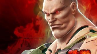 Fighting tekken 6 5 game namco bandai wallpaper