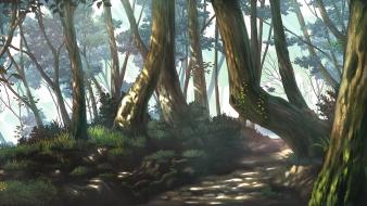 Nature trees scenic forest path wallpaper
