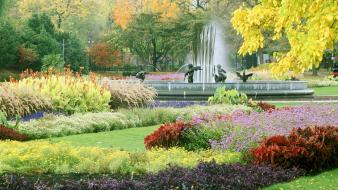 Chicago flowers garden lincoln illinois wallpaper