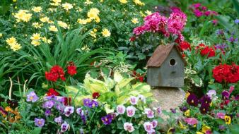 Flowers garden massachusetts wallpaper