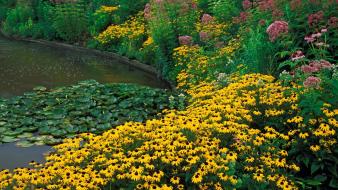 Flowers garden ponds ohio holden cleveland wallpaper