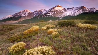 Flowers valley canada british columbia wallpaper