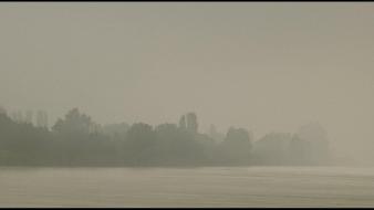 Forest fog artwork normandie james lapett sea wallpaper