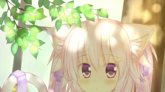 Panties uniforms nekomimi lolicon white hair