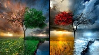 Seasons wallpaper