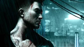 Sleeping dogs wallpaper