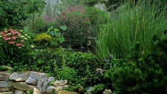 Water flowers garden tennessee morning foggy wallpaper