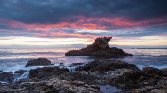 Birds rocks stones evening sky sea beach wallpaper