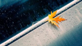 Cars leaves water drops macro car windows wallpaper
