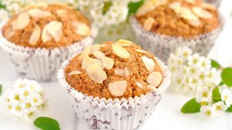 Food sugar candies cakes sweets wallpaper