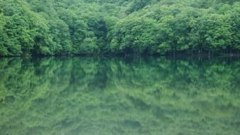 Green water japan landscapes trees lakes rivers wallpaper