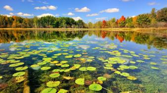 Landscapes nature autumn lakes forest wallpaper