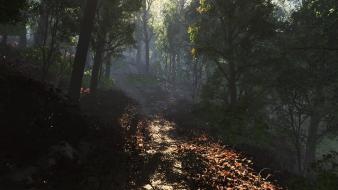 Landscapes nature trees forests cgi sunlight renders path wallpaper