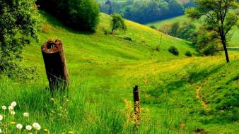 Mountains landscapes nature grass wallpaper