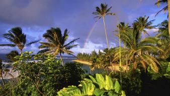 Nature hawaii kauai parks beach wallpaper