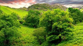 Nature wallpaper
