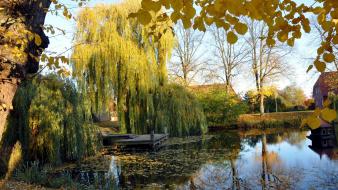 Nature wall lakes wallpaper
