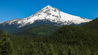 Snow forests hills usa oregon pine trees wallpaper