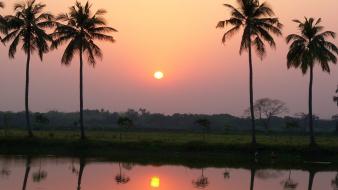 Sunset landscapes nature palm trees rivers reflections evening wallpaper