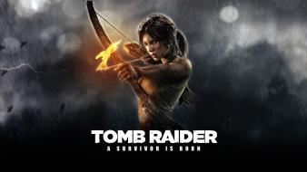 Tomb raider lara croft 2013 wallpaper